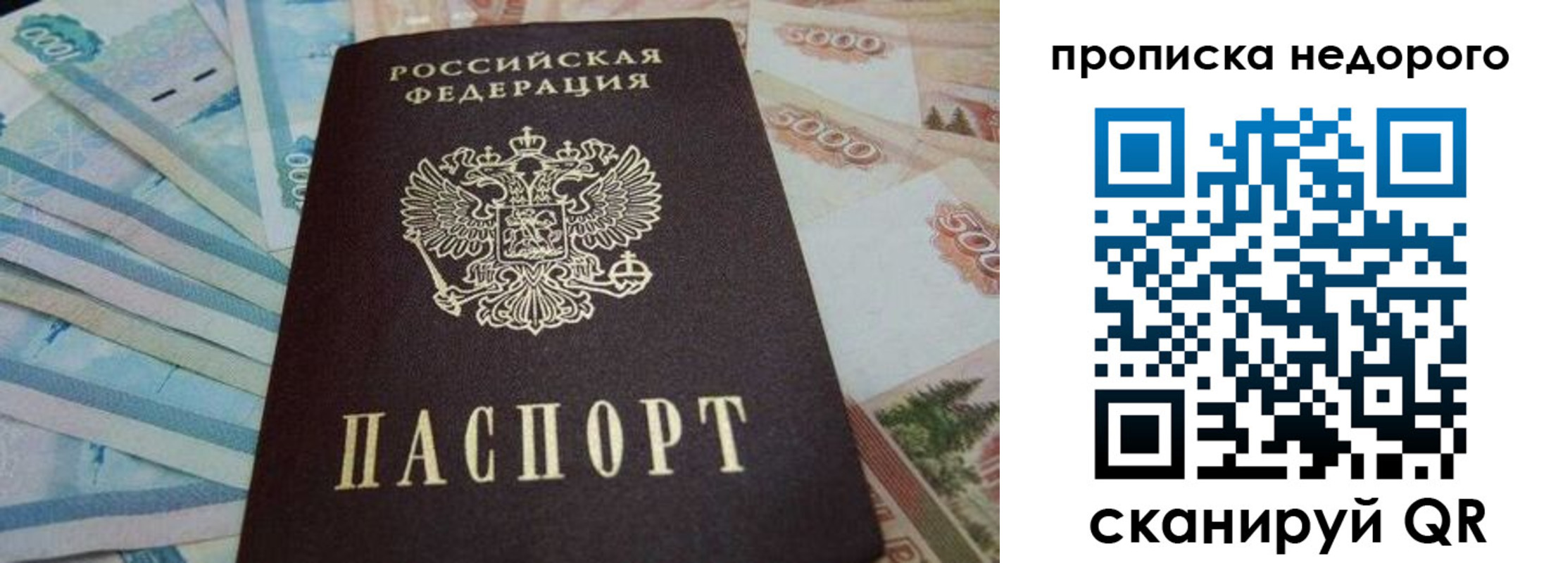 временная регистрация поиск в Бийске